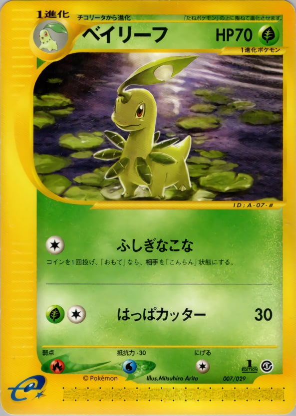 ベイリーフ