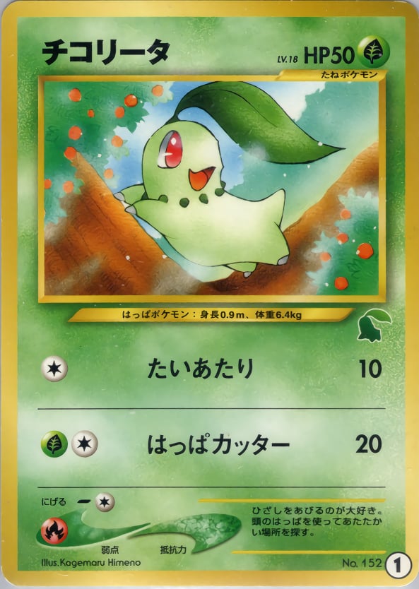 チコリータ
